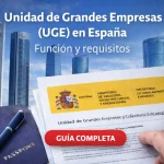 Unidad de Grandes Empresas (UGE) en España: función y requisitos
